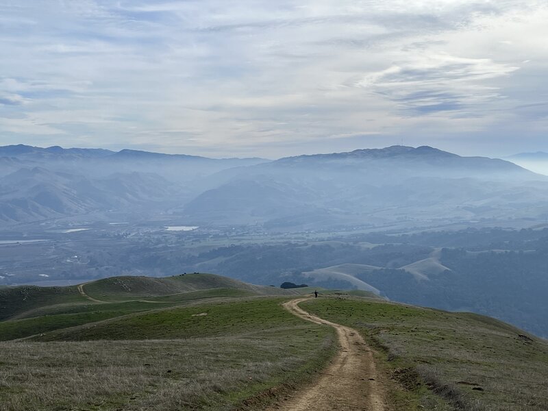 View looking south on the Sunol Ridge trail.