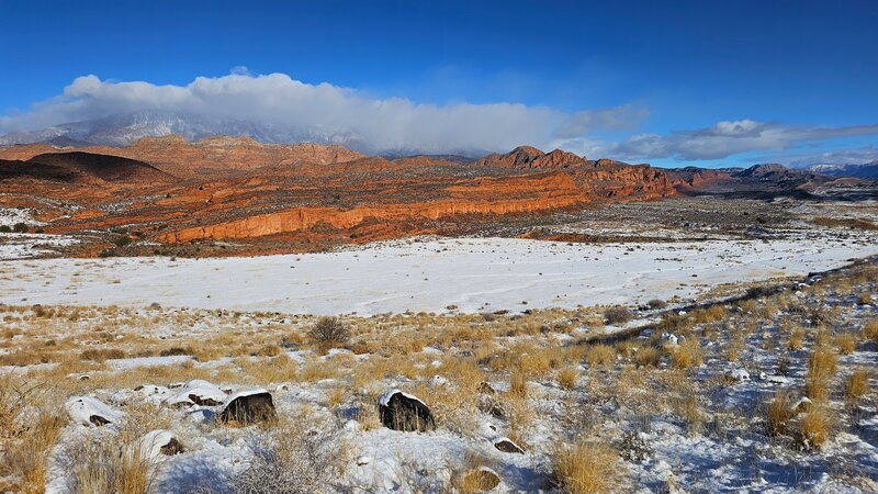 Lower Cottonwood Trail, Red Cliffs National Conservation Area.