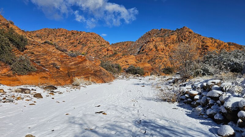 Upper Cottonwood Canyon Trail, Red Cliffs National Conservation Area.