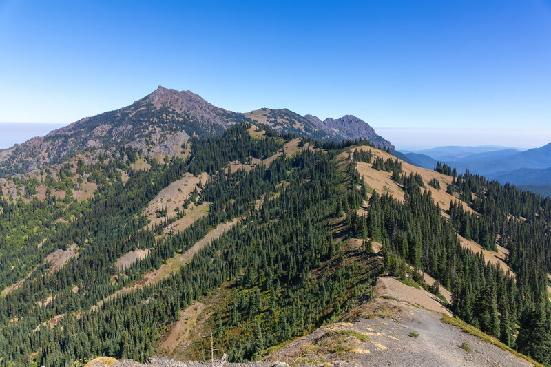 Klahhane Ridge from Sunset Viewpoint