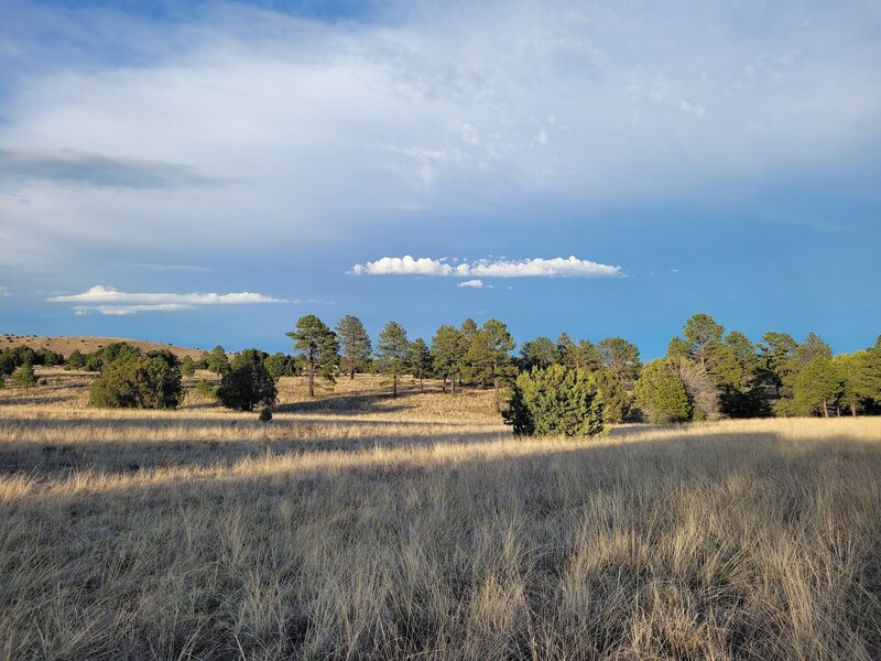 Aeroplane Mesa