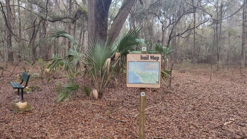 Tree, bench and map at map point 31