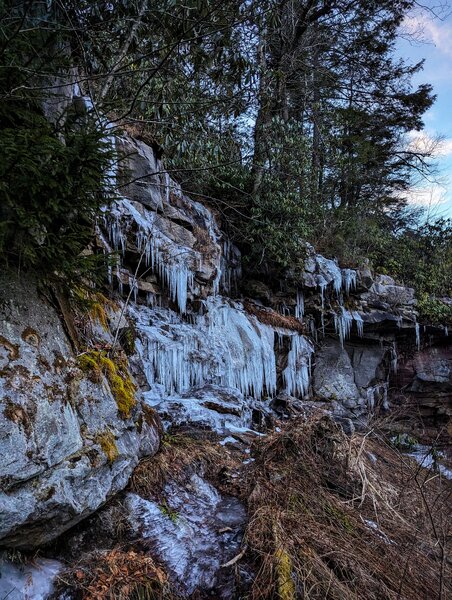 Ice next to Blackwater Falls in February.