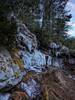 Ice next to Blackwater Falls in February.