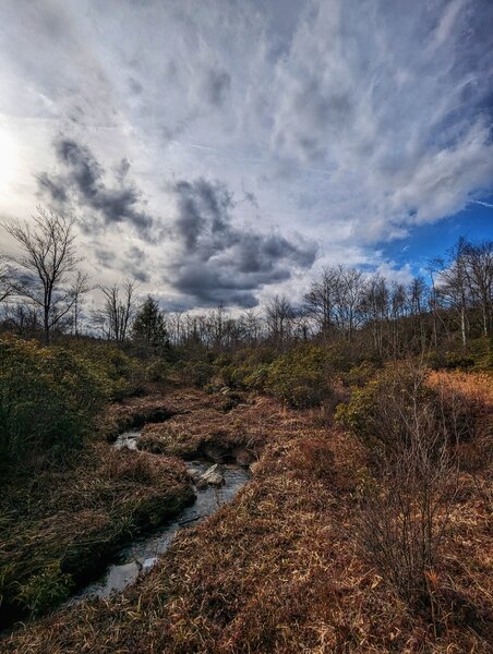 A little stream running though the valley in February.