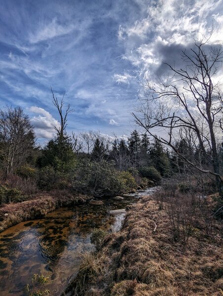 A stream running though the valley in February.