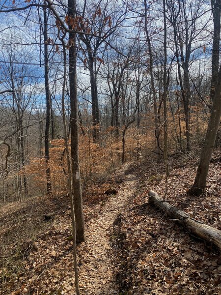 Ridge on South Loop Trail