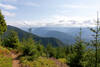 View into Olympic National Park.