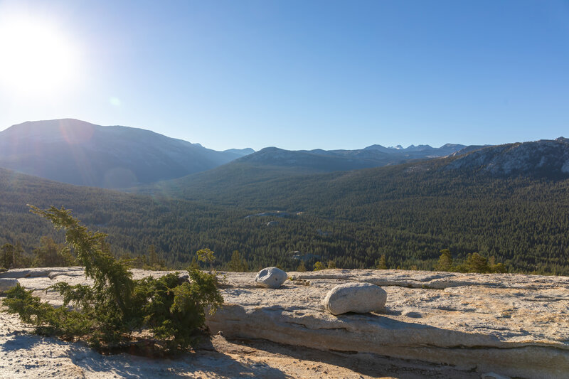 The early morning sun from Lembert Dome.