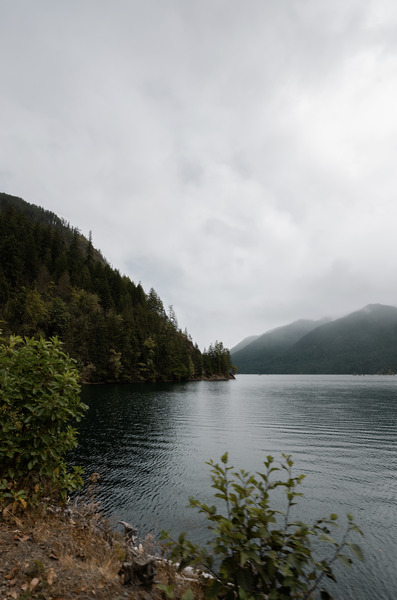 View of Lake Cushman