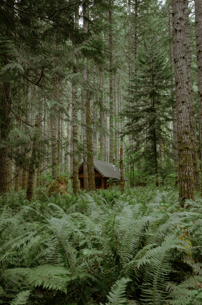 Awesome homes and cabins nearby.