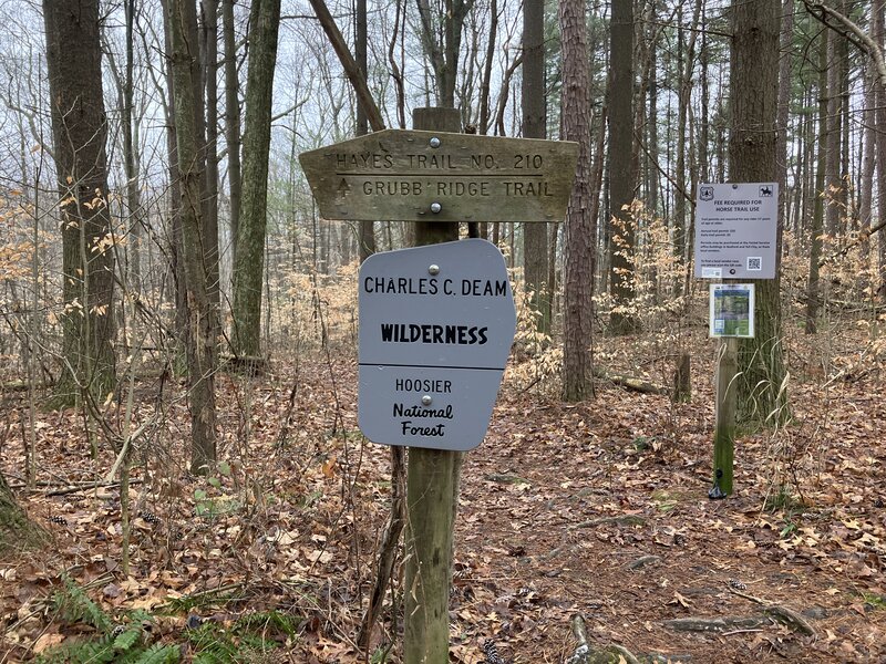 Trailhead at Hays Rd.