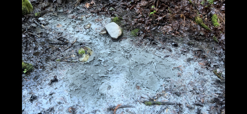 The "bubbling geyser" has a layer of gray calcium carbonate thanks to the methane gas leaking to the surface.