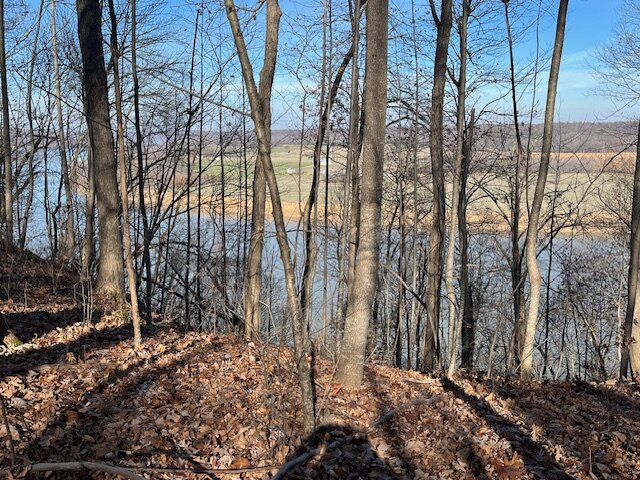 Ohio River overlooking Laconia, Indiana.