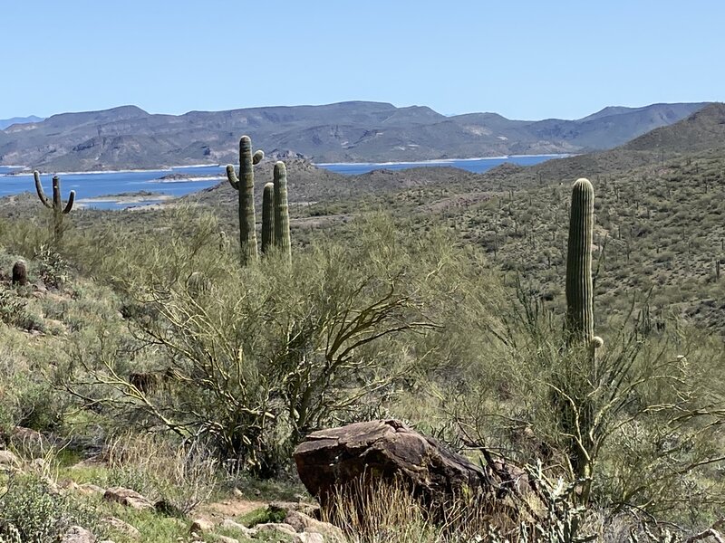 Lake Pleasant view