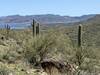 Lake Pleasant view