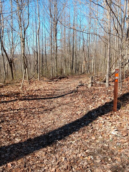 Intersection at top of Cubby Hill to Dry Fork Loop connector.