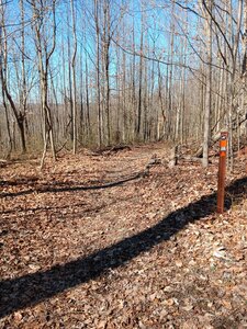 Intersection at top of Cubby Hill to Dry Fork Loop connector.