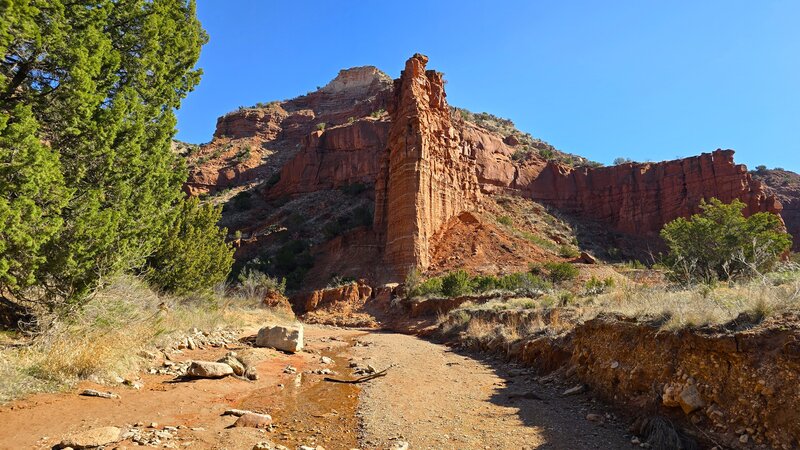 Upper South Prong Trail