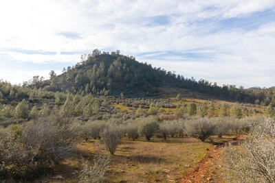 Red Hills from Old Stage Trail.
