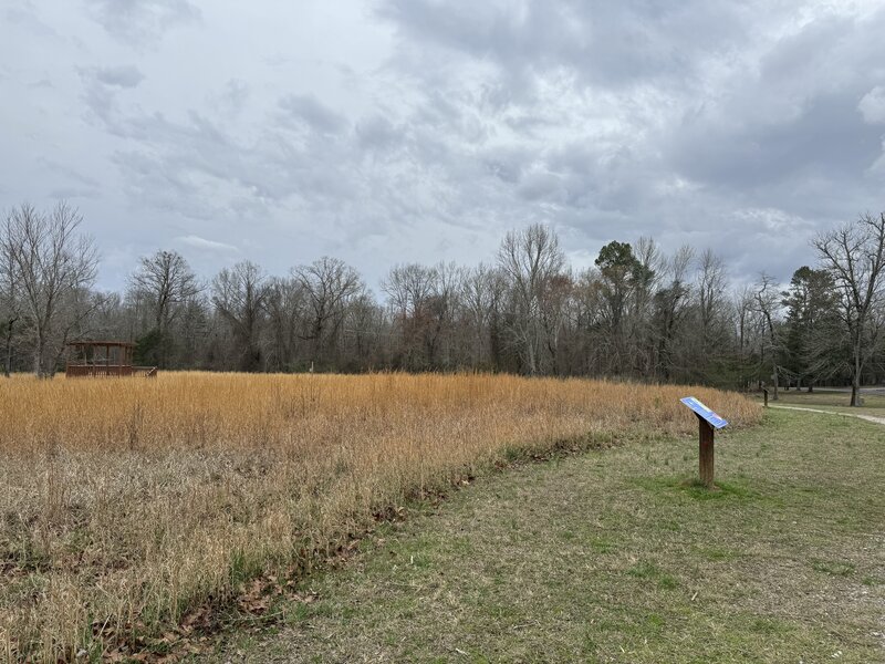 The gravel trail moves around the fields and signs provide information on the sky above you.