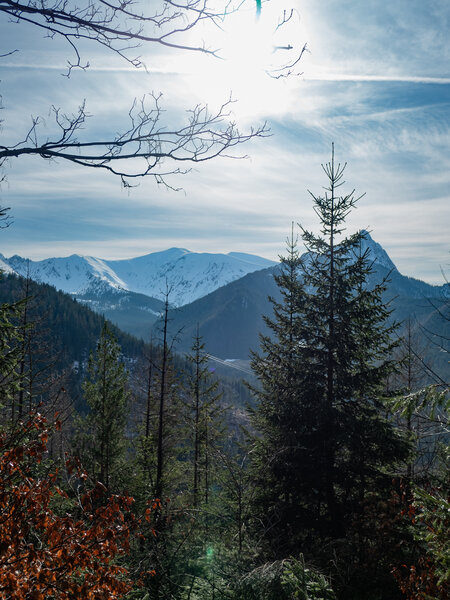 Peak at the route through trees on the initial hill push on green trail.