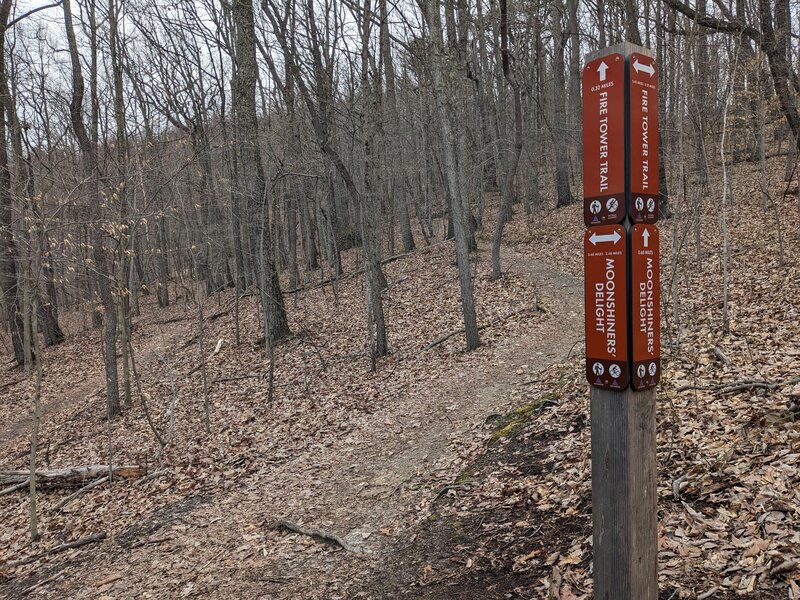 Moonshiners Trail At Fire Tower Trail Moonshiners trail at fire tower trail