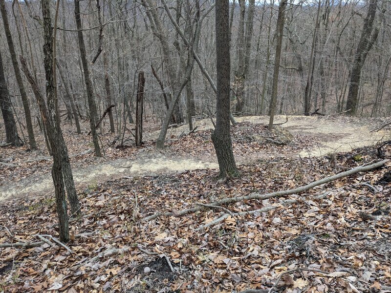 Moonshiners' Trail banked switchback.