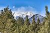 View of Mount Princeton from Raspberry Gulch.