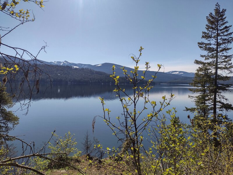 Priest Lake with the Selkirk Mountains rising in the distance, including Chimney Rock (6,864 ft.) and Mt. Roothaan (6,966 ft.) on the left. Seen looking east-southeast from Lakeshore Trail.