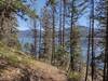 Peering through the trees from a high spot along Lakeshore Trail, Priest Lake is stunning.