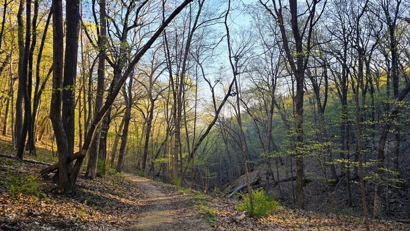 Weeping Rock Trail