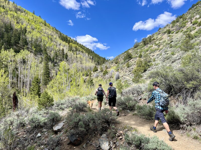 Hiking up Green's Creek