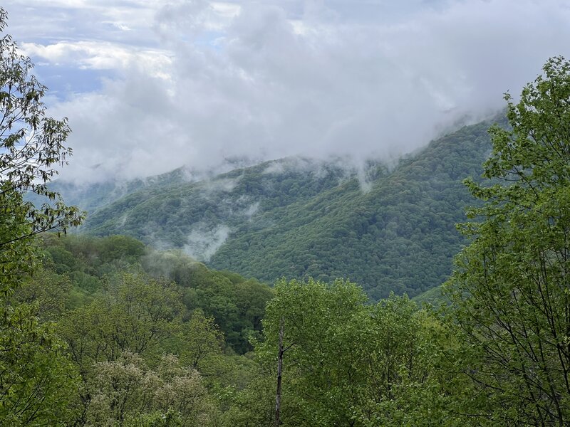 View from North Old Mac backcountry campsite great place to camp if you want to spend the night.