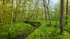 Lower Picnic Area Trail.