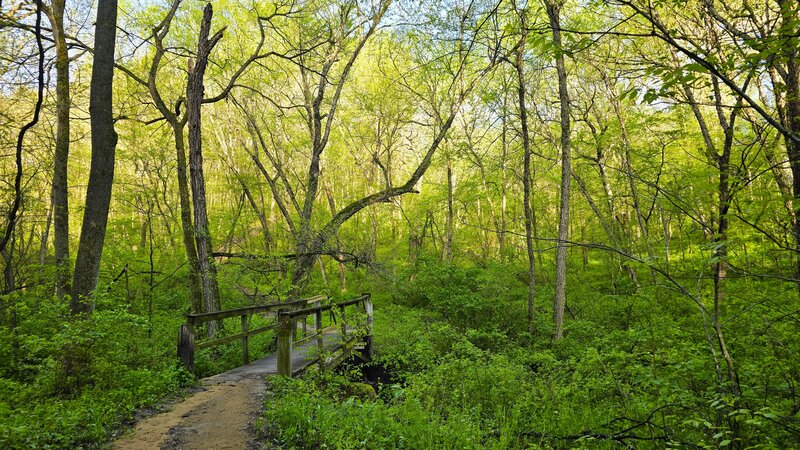 Park Boundry Trail