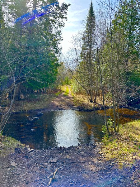 Cedar Creek crossing, must traverse over driftwood or get wet.