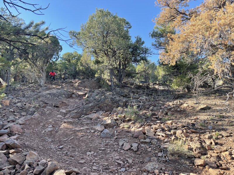 MTB coming down the trail.