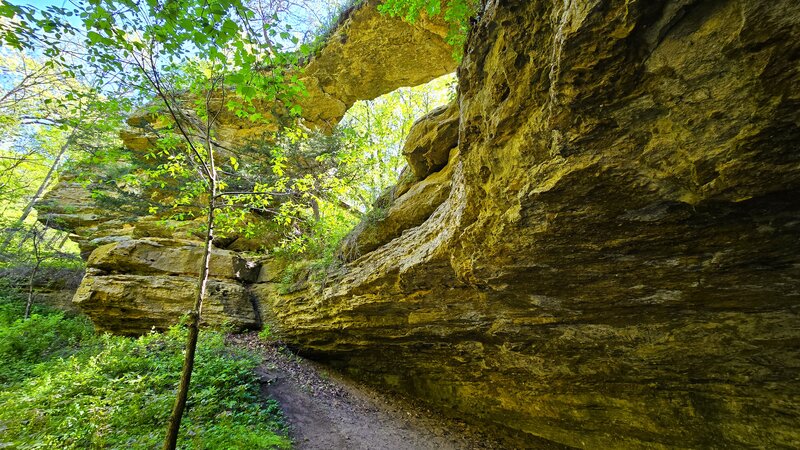 Natural Bridge