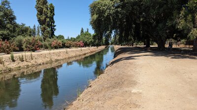 Creek at high level.