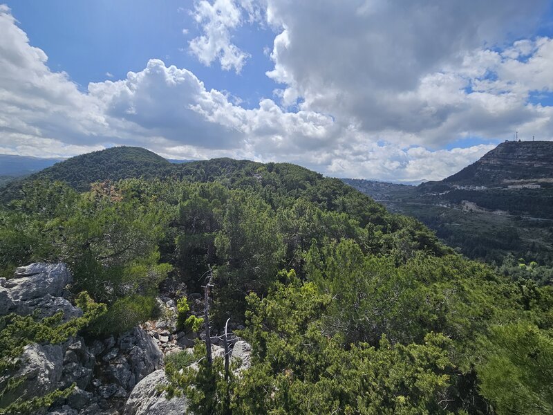 Looking back towards the hill top.