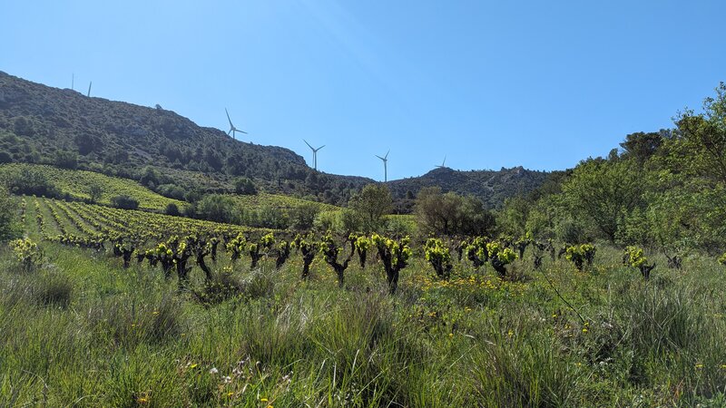 Villeseque des Corbieres Plateau