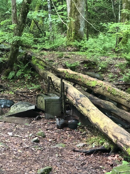 Middle Prong Trail. Fallen trees  over the old car.