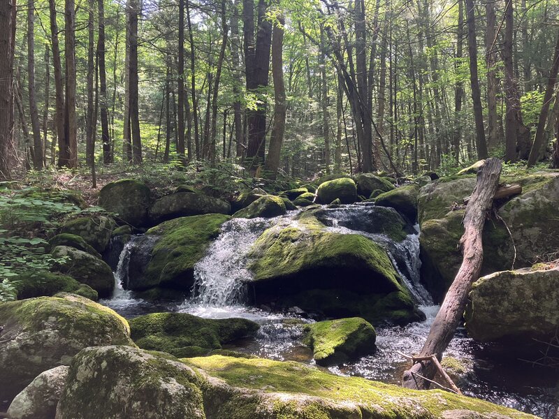 Mossy little waterfall, along Horse Hill Brook.