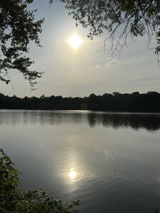 Lake view from the trail.