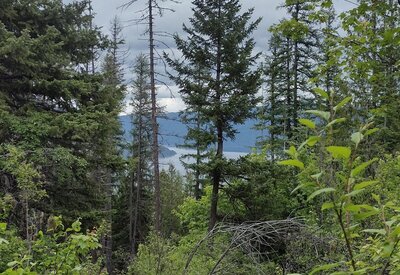 Glimpses of Lake Pend O'reille through all the trees, from high on Scout Trail.