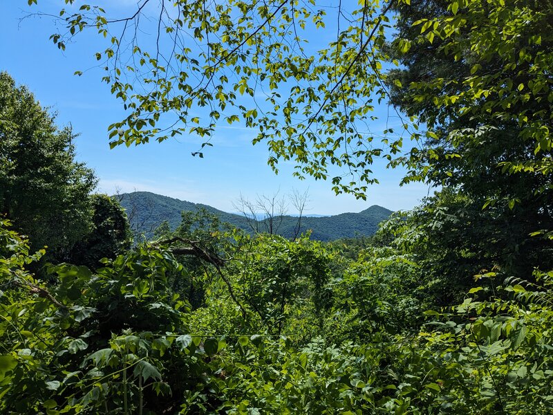 View from the top of Little Flat Mountain Loop.