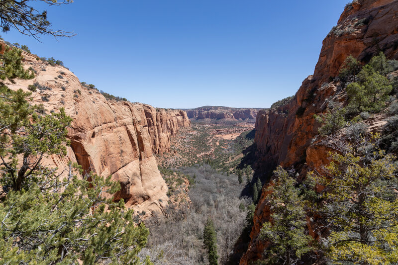 Betatakin Canyon from Aspen Trail.