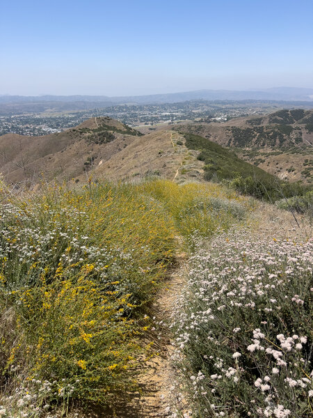 The path to the flag.