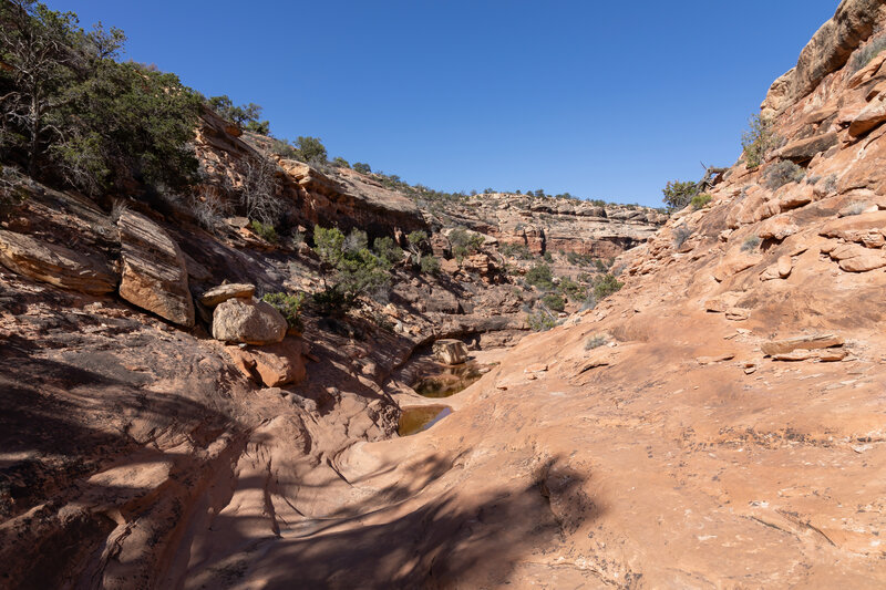 Upper Trail Canyon